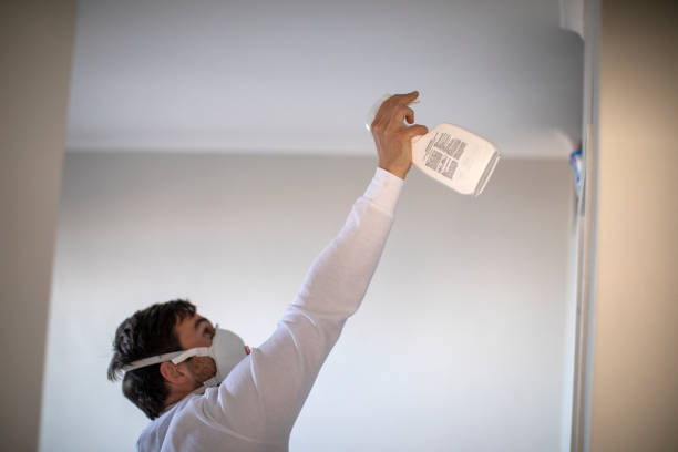 Best Attic Mold Remediation in Woodcrest, CA