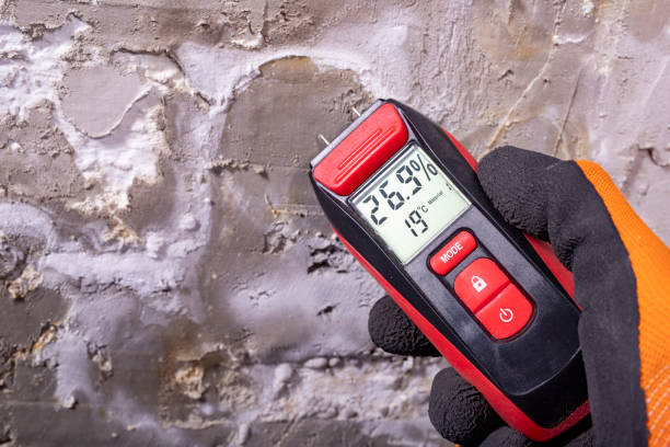 Best Emergency Mold Remediation in Woodcrest, CA