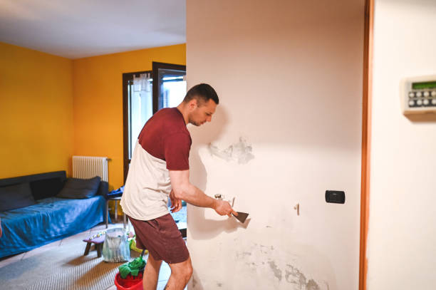 Best HVAC Mold Remediation in Woodcrest, CA